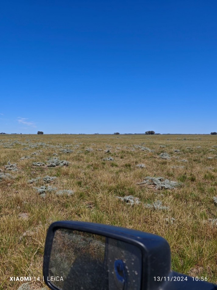 VENTA CAMPO MIXTO 1000 HECTAREAS - SOBRE RUTA 3