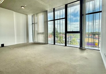 CONSTITUCION. OFICINAS EN ALQUILER.